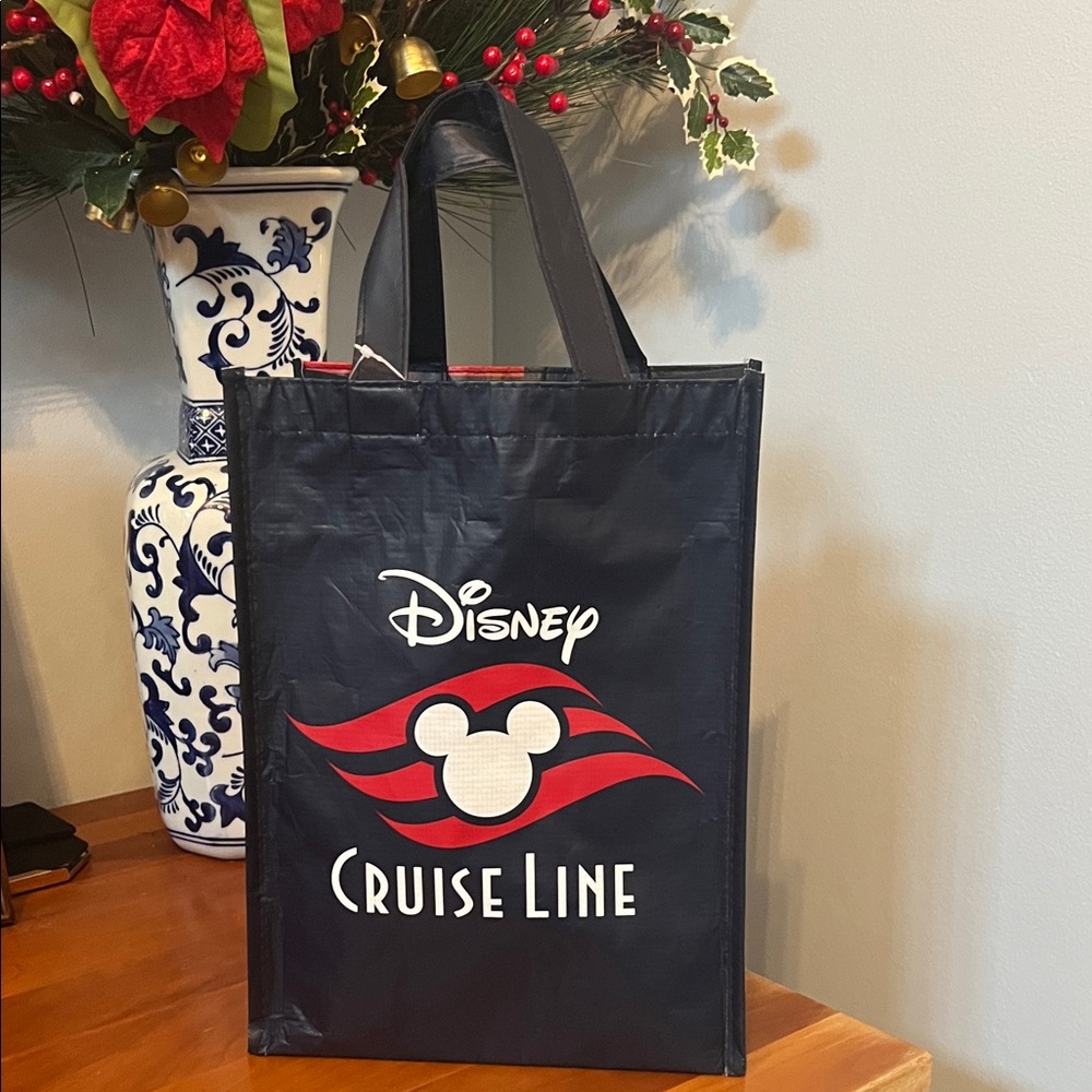 Disney Cruise line reusable bag - Picture 2 of 4
